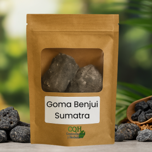 Goma Benjui Sumatra