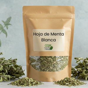 Hoja De Menta Blanca