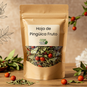 Hoja De Pingüica Fruto